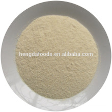 Good Quality Dried/Dehydrated Onion Powder from Manufacturer
